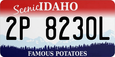 ID license plate 2P8230L