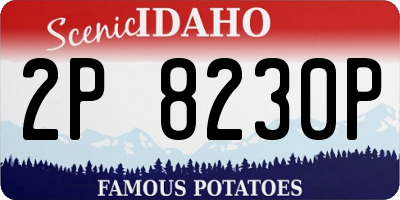 ID license plate 2P8230P