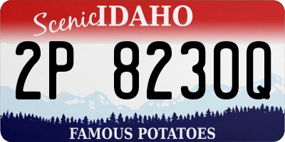 ID license plate 2P8230Q