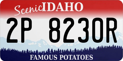 ID license plate 2P8230R