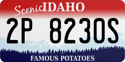 ID license plate 2P8230S