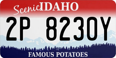 ID license plate 2P8230Y