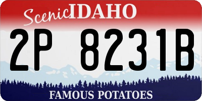 ID license plate 2P8231B