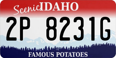 ID license plate 2P8231G
