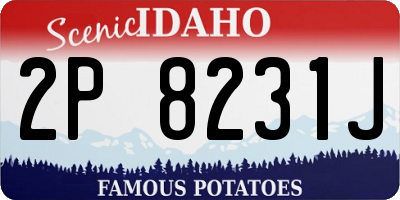 ID license plate 2P8231J