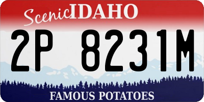 ID license plate 2P8231M