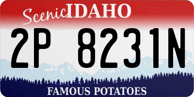 ID license plate 2P8231N