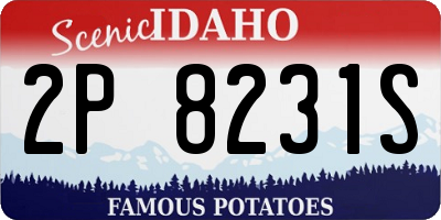 ID license plate 2P8231S