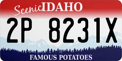 ID license plate 2P8231X
