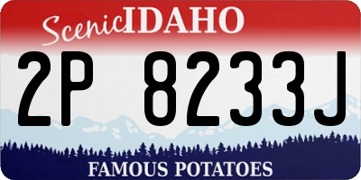 ID license plate 2P8233J