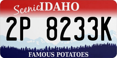 ID license plate 2P8233K
