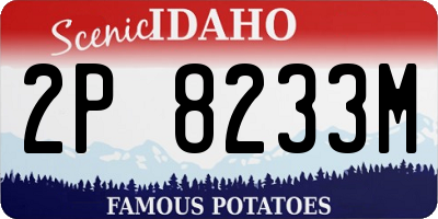 ID license plate 2P8233M