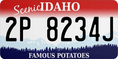 ID license plate 2P8234J