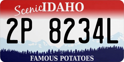 ID license plate 2P8234L