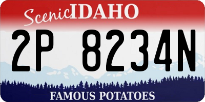 ID license plate 2P8234N