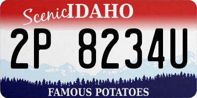 ID license plate 2P8234U