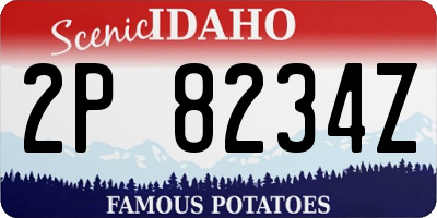 ID license plate 2P8234Z
