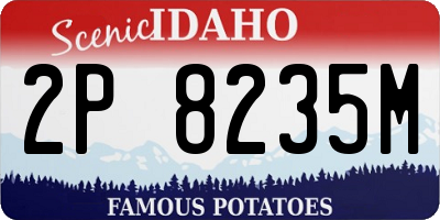 ID license plate 2P8235M