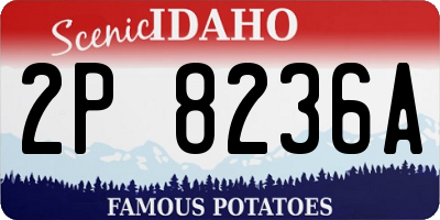 ID license plate 2P8236A