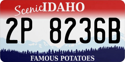 ID license plate 2P8236B