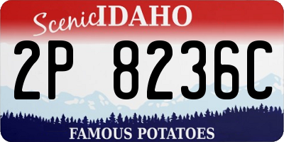 ID license plate 2P8236C