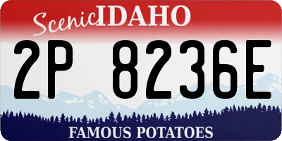 ID license plate 2P8236E