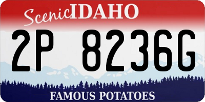 ID license plate 2P8236G