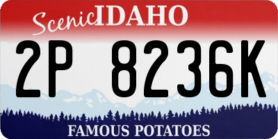 ID license plate 2P8236K