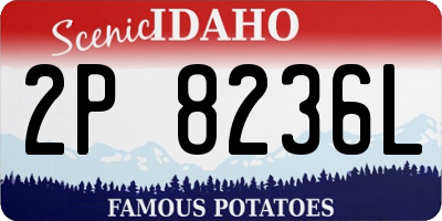 ID license plate 2P8236L