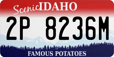 ID license plate 2P8236M