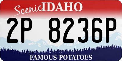 ID license plate 2P8236P