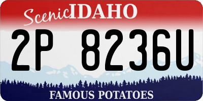 ID license plate 2P8236U