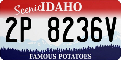 ID license plate 2P8236V