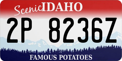 ID license plate 2P8236Z