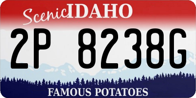 ID license plate 2P8238G