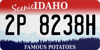 ID license plate 2P8238H