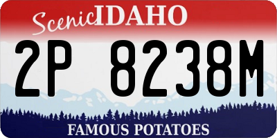 ID license plate 2P8238M