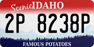 ID license plate 2P8238P