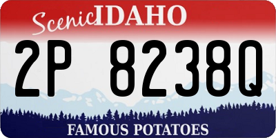 ID license plate 2P8238Q