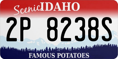 ID license plate 2P8238S