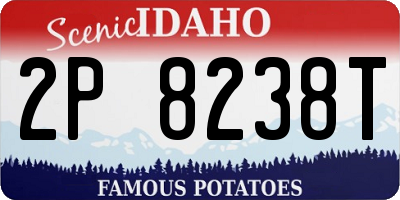ID license plate 2P8238T