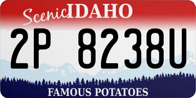 ID license plate 2P8238U