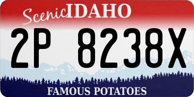 ID license plate 2P8238X