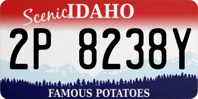 ID license plate 2P8238Y