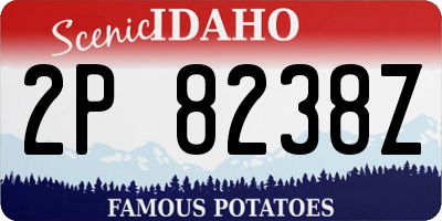 ID license plate 2P8238Z