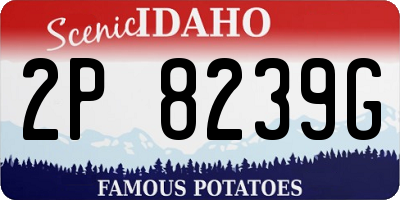 ID license plate 2P8239G