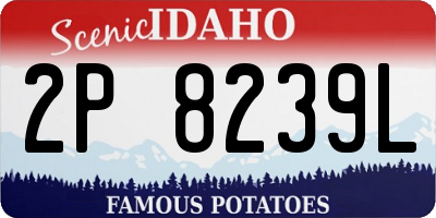 ID license plate 2P8239L