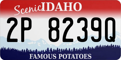 ID license plate 2P8239Q