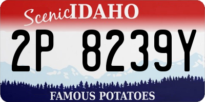 ID license plate 2P8239Y