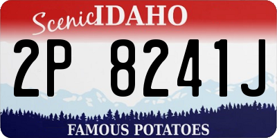 ID license plate 2P8241J